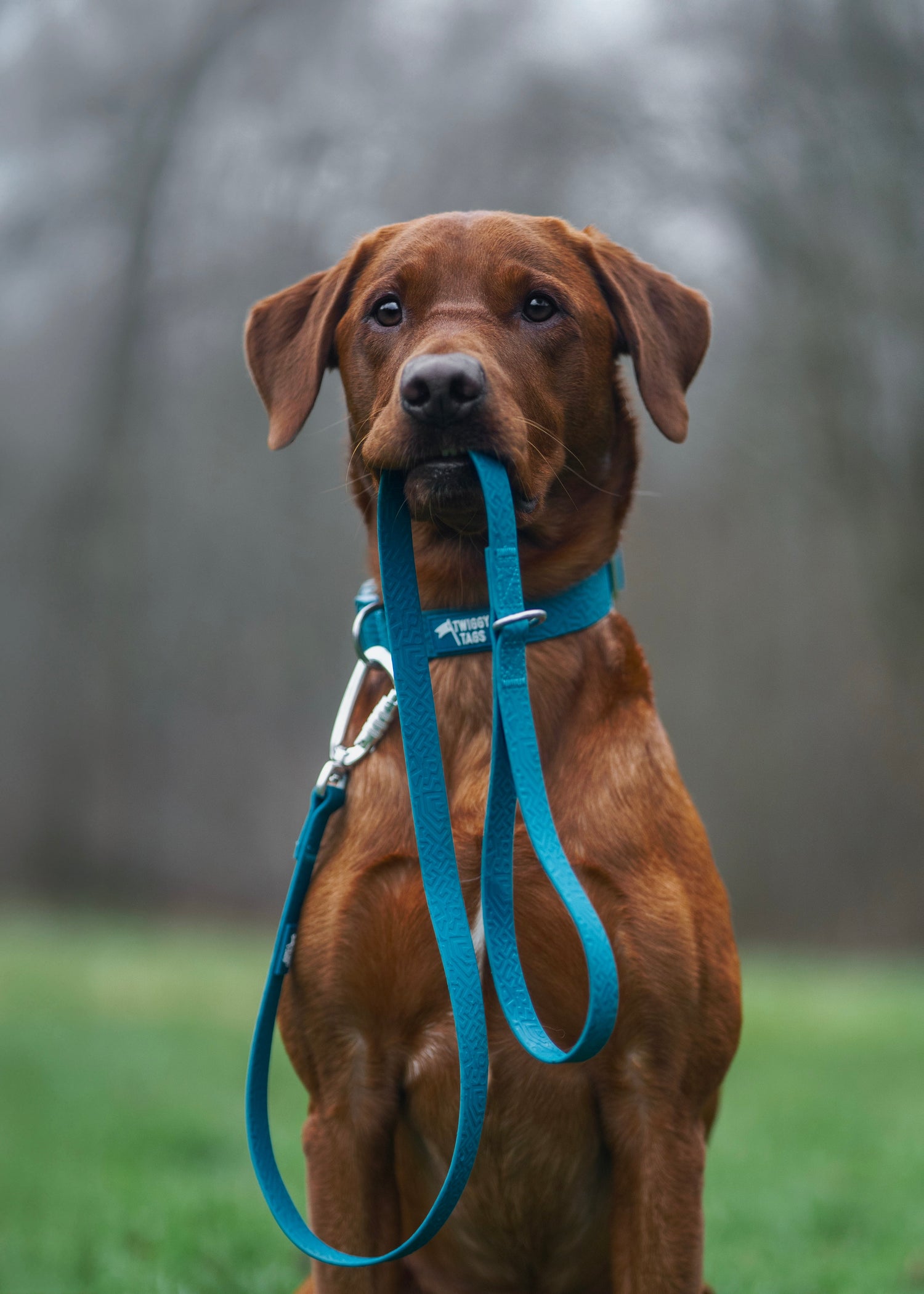 Waterproof Leads