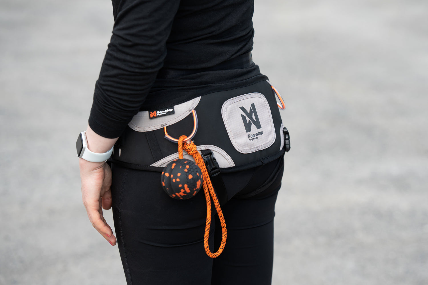 Dog Walking Belts