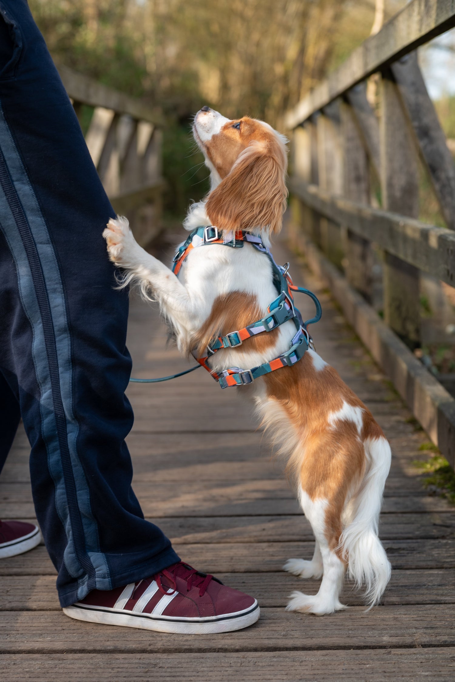 Escape Proof Harnesses