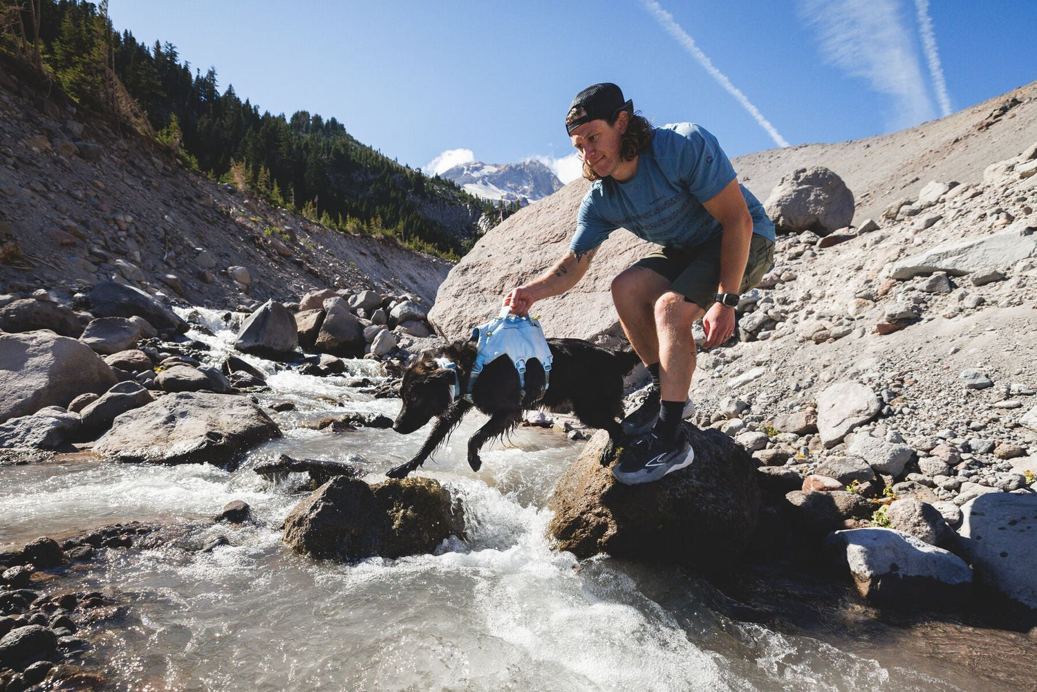 Hiking and Adventure Dogs