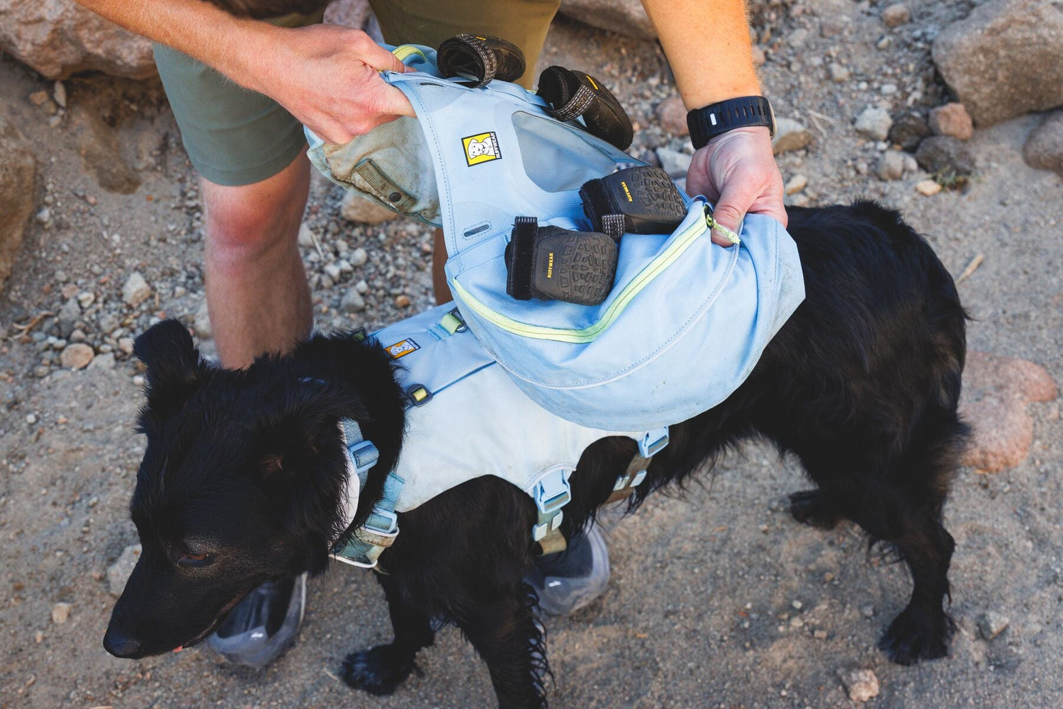 Backpack Harnesses