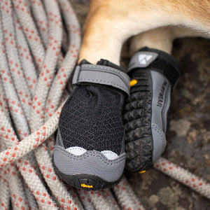 Dog Boots and Shoes