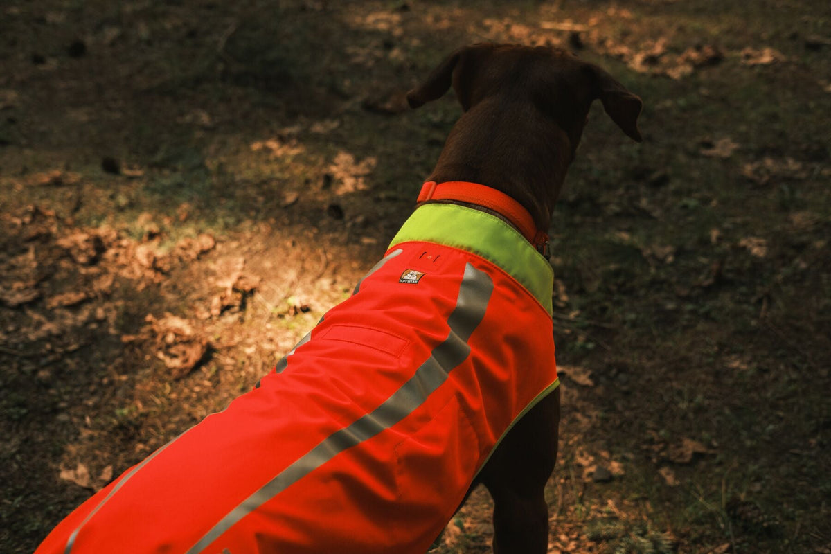 Dog Coats