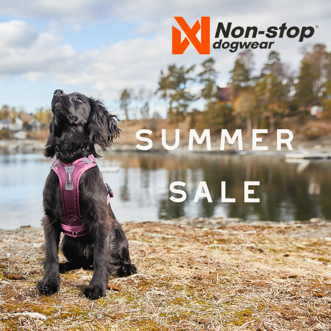 Non-stop Dogwear Summer Sale