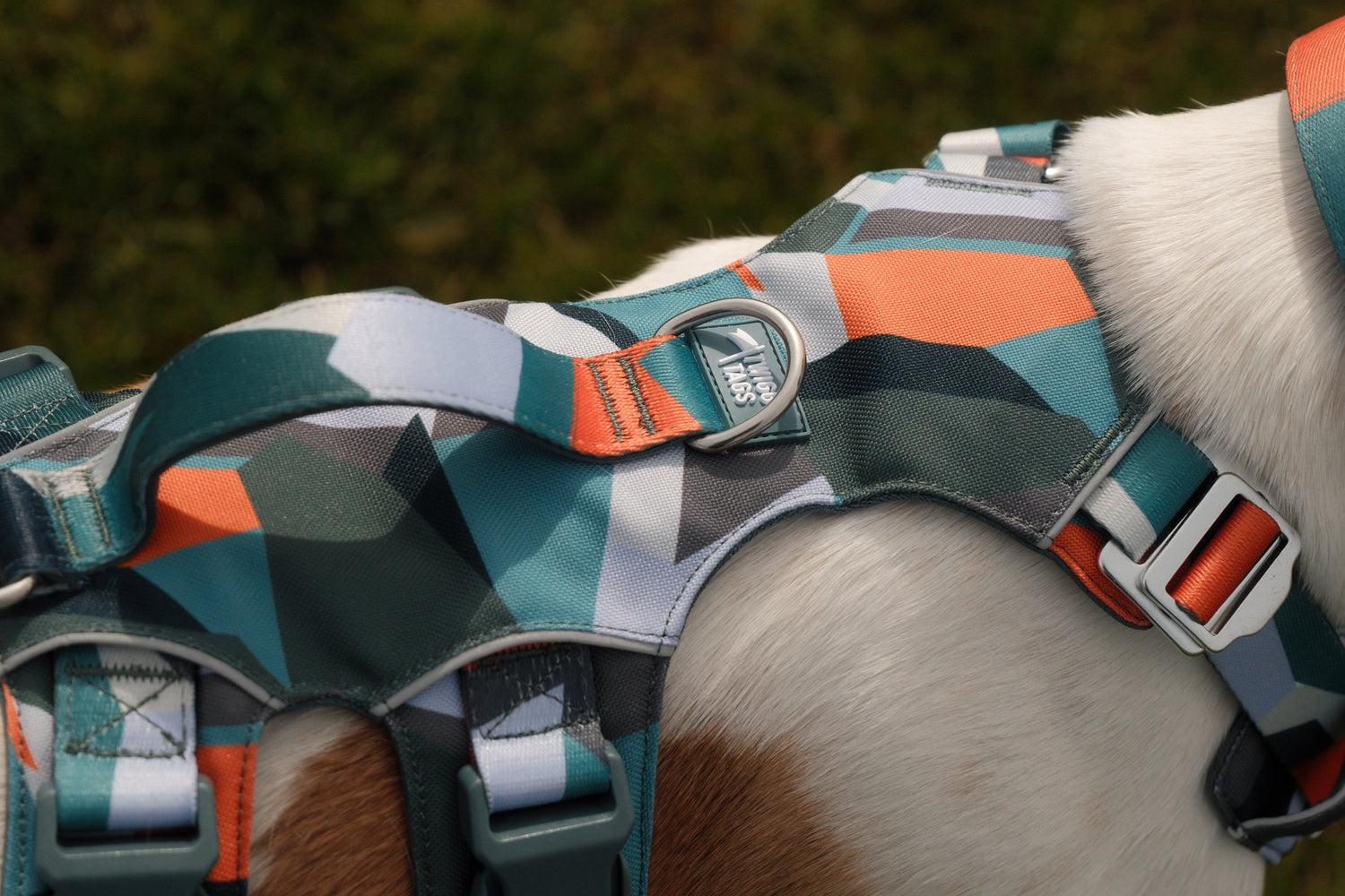 Harnesses with Handles