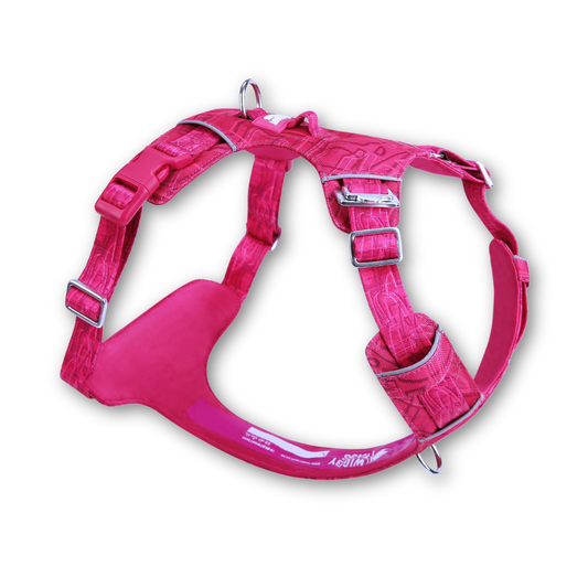 Adventure Lite Harness | Twiggy Tags