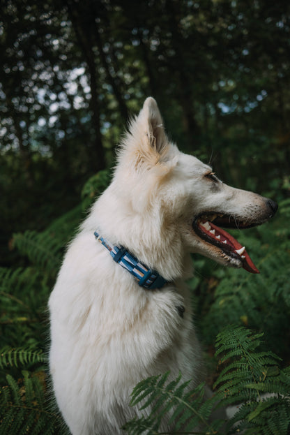 Horizon Comfort Collar | Twiggy Tags