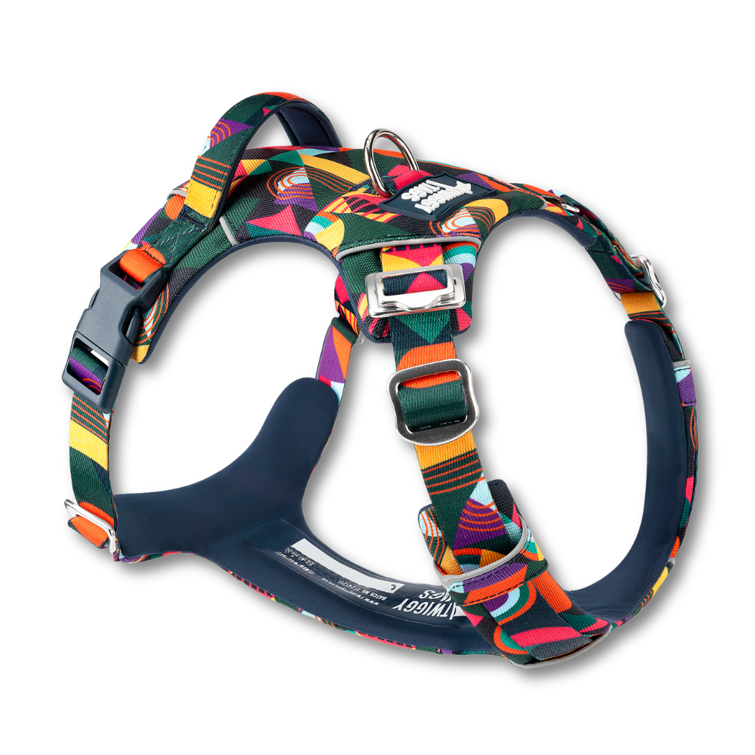 Twiggy Tags Adventure Harness 2.0 multicolour Aurora pattern. Fully adjustable dog harness with a neck clip.
