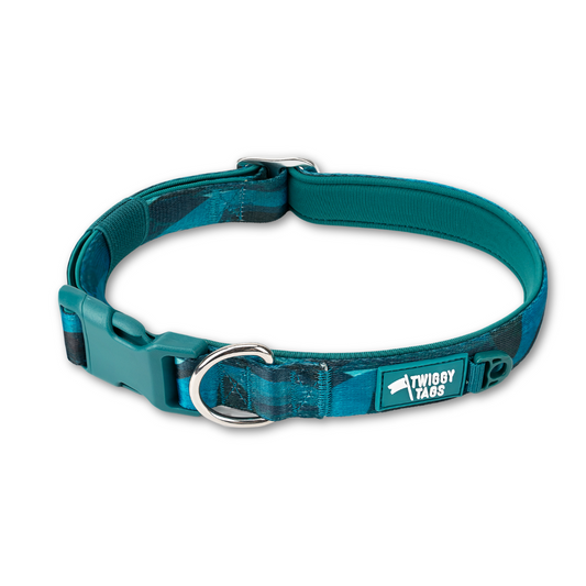 Adventure Collar 2.0 | Lagoon | Twiggy Tags