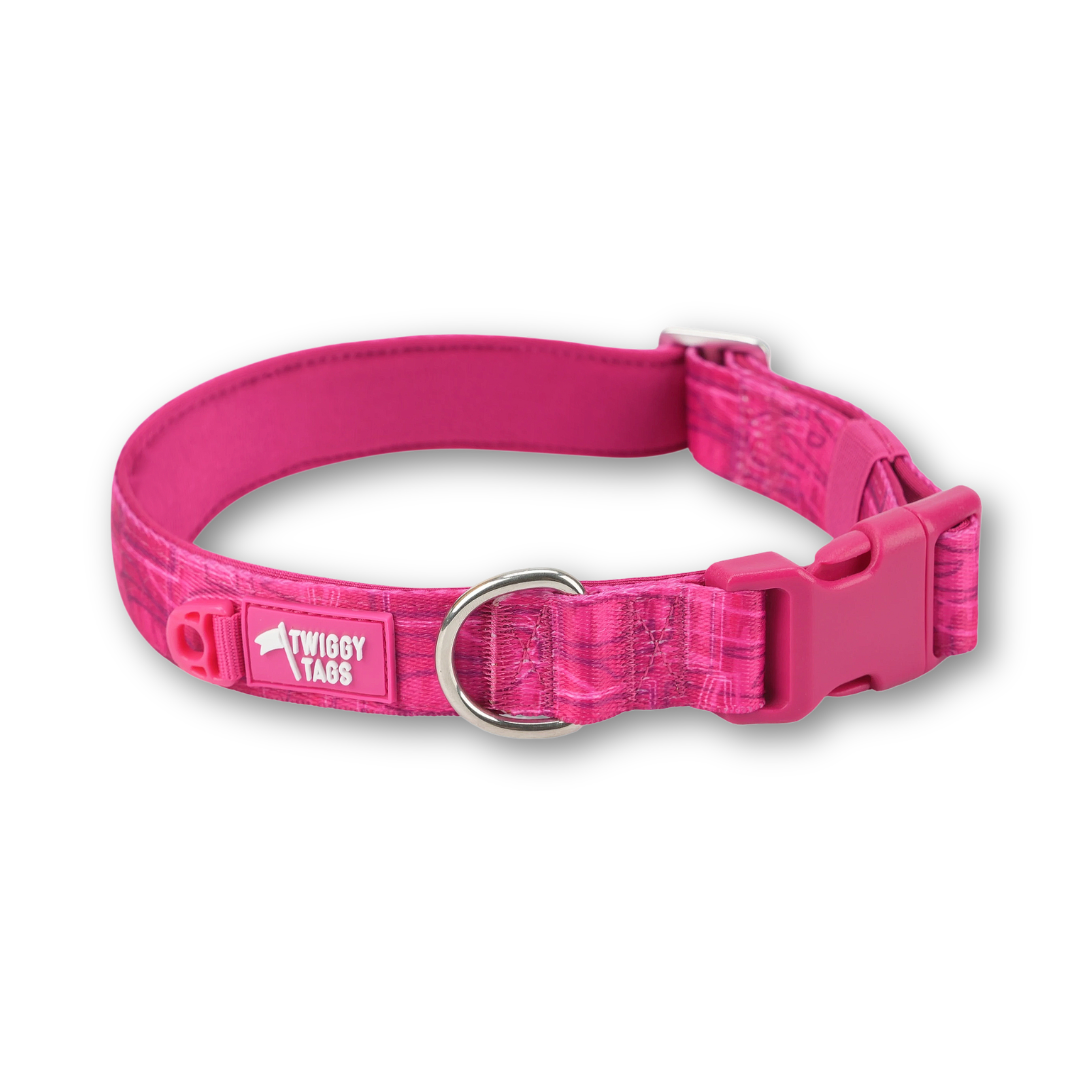 Comfort Collar | Twiggy Tags