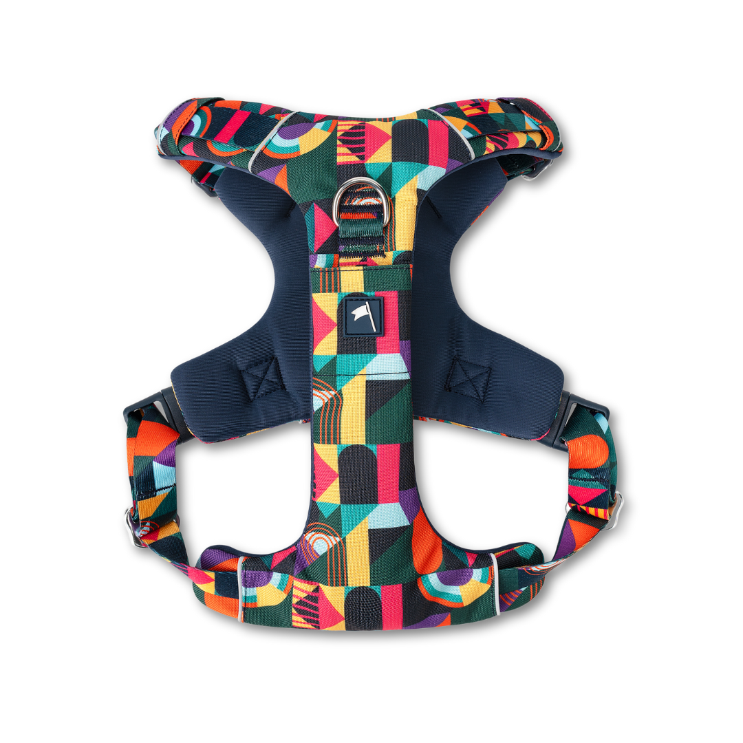 Adventure Harness 2.0 | Aurora | Twiggy Tags