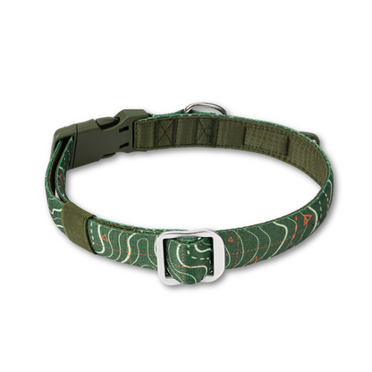 Apex® Collar | Twiggy Tags |  Nomad