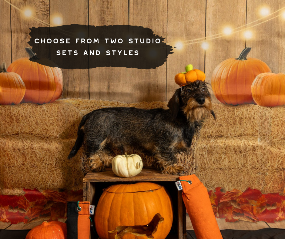 Halloween Photoshoot