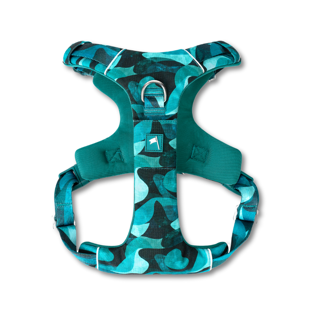 Adventure Harness 2.0 | Lagoon | Twiggy Tags