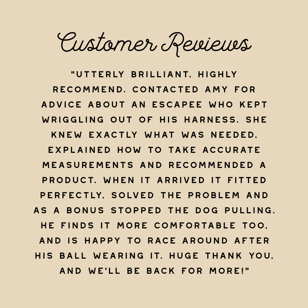 Harness Help - Remote Fitting Advice