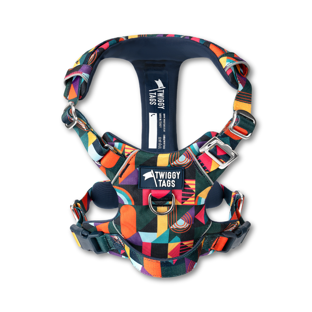 Adventure Harness 2.0 | Aurora | Twiggy Tags