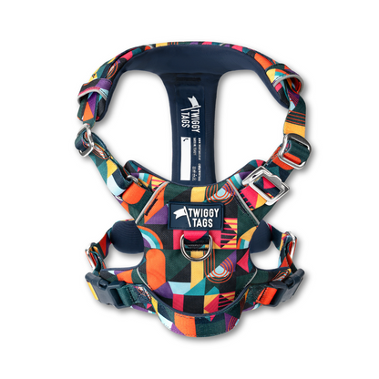 Adventure Harness 2.0 | Aurora | Twiggy Tags