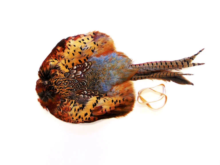 Cock Pheasant Pelt | Dummy Wrap | Sporting Saint