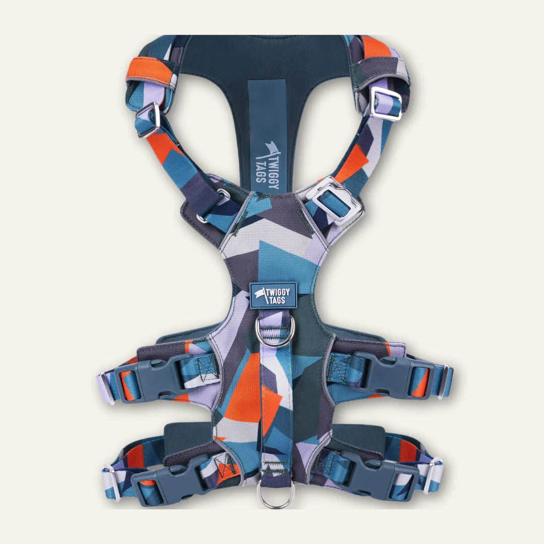 Scramble Harness | Twiggy Tags