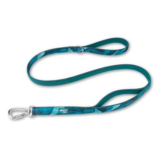 Adventure Close Control Lead 2.0 | Lagoon | Twiggy Tags
