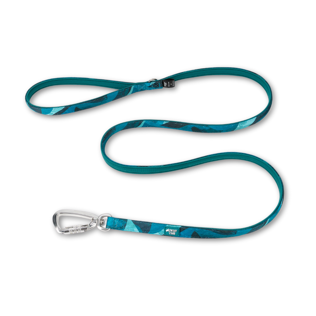 Adventure Small Lead 2.0 | Lagoon | Twiggy Tags