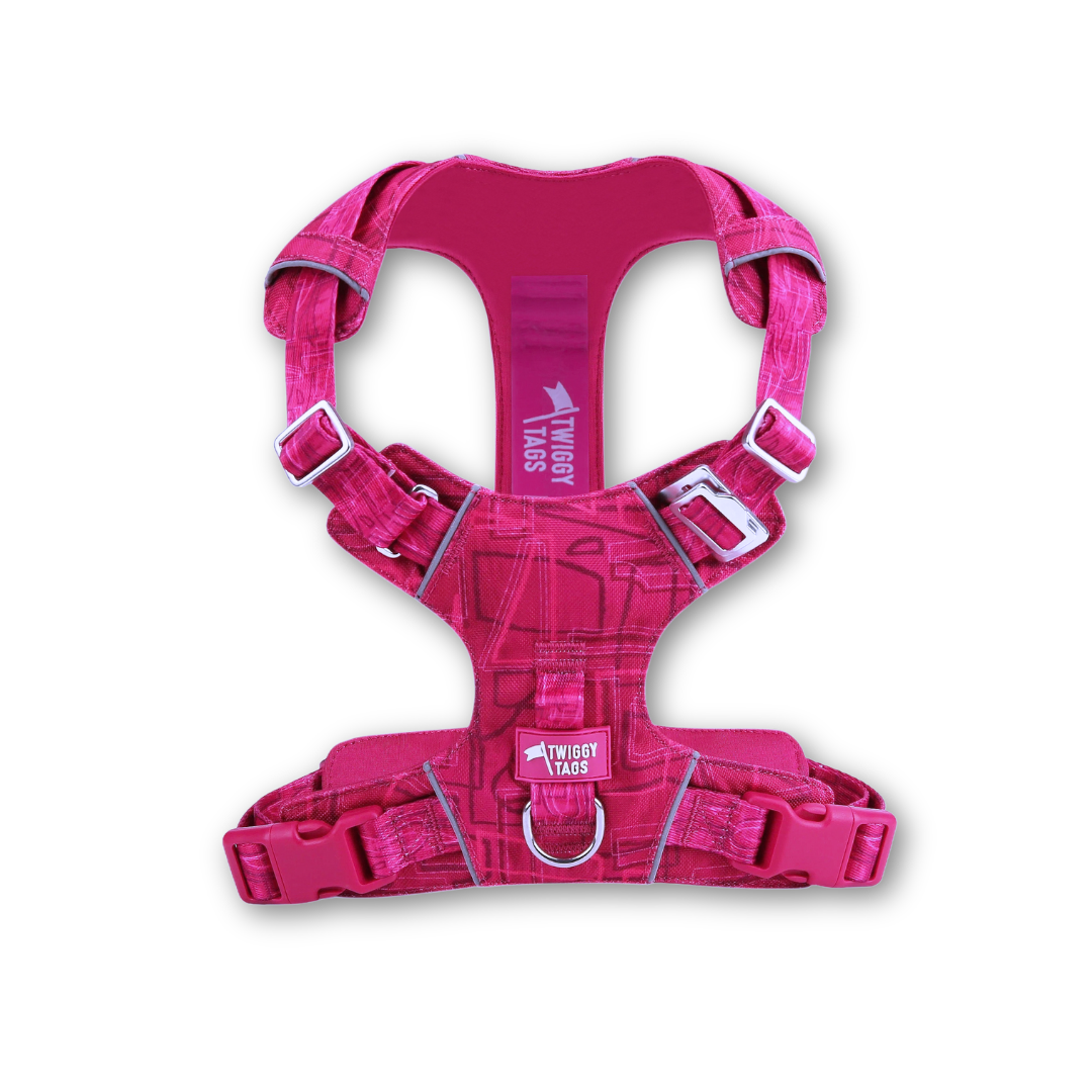 Adventure Lite Harness | Twiggy Tags