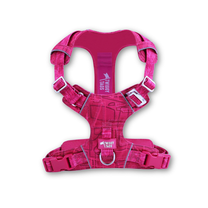 Adventure Lite Harness | Twiggy Tags