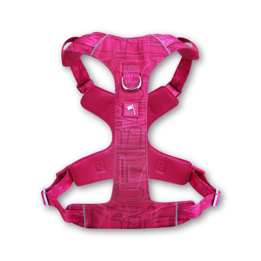 Adventure Lite Harness | Twiggy Tags