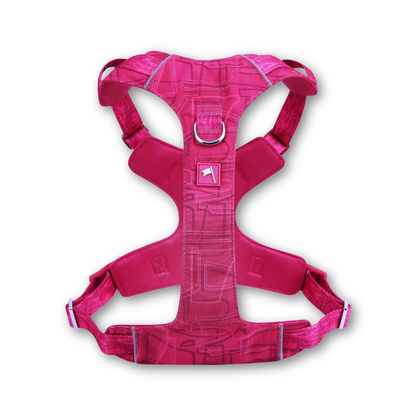 Adventure Lite Harness | Twiggy Tags