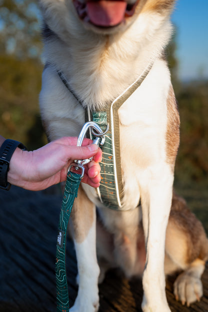 Apex® Lead | Twiggy Tags | Nomad