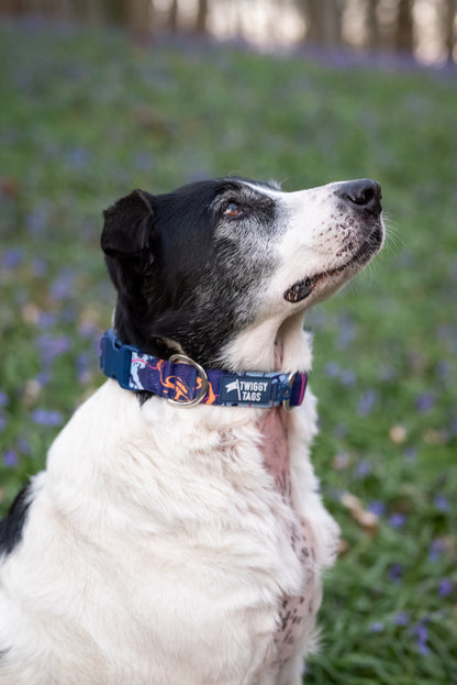 Apex® Collar | Nebula | Twiggy Tags