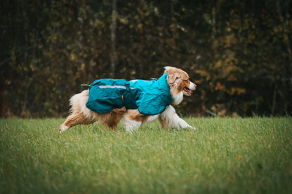 Fjord Raincoat 2.0 | Non-stop Dogwear