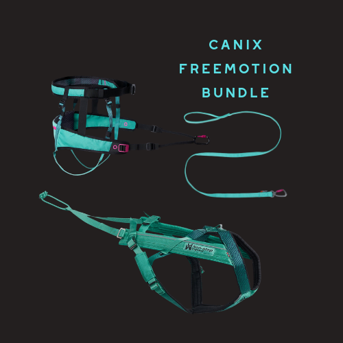 canicross starter bundle containing non stop dogwear freemotion harness, canix belt and bungee leash in aqua teal colour at track and trail canine outfitters