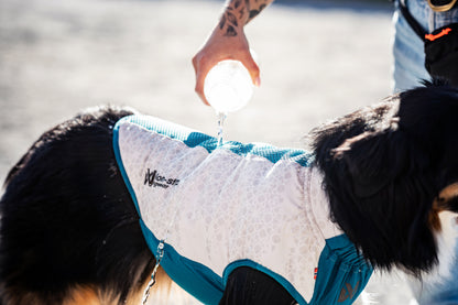 Cooling Pull-On Vest | Non-stop Dogwear