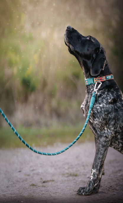 Rope Lead | Twiggy Tags