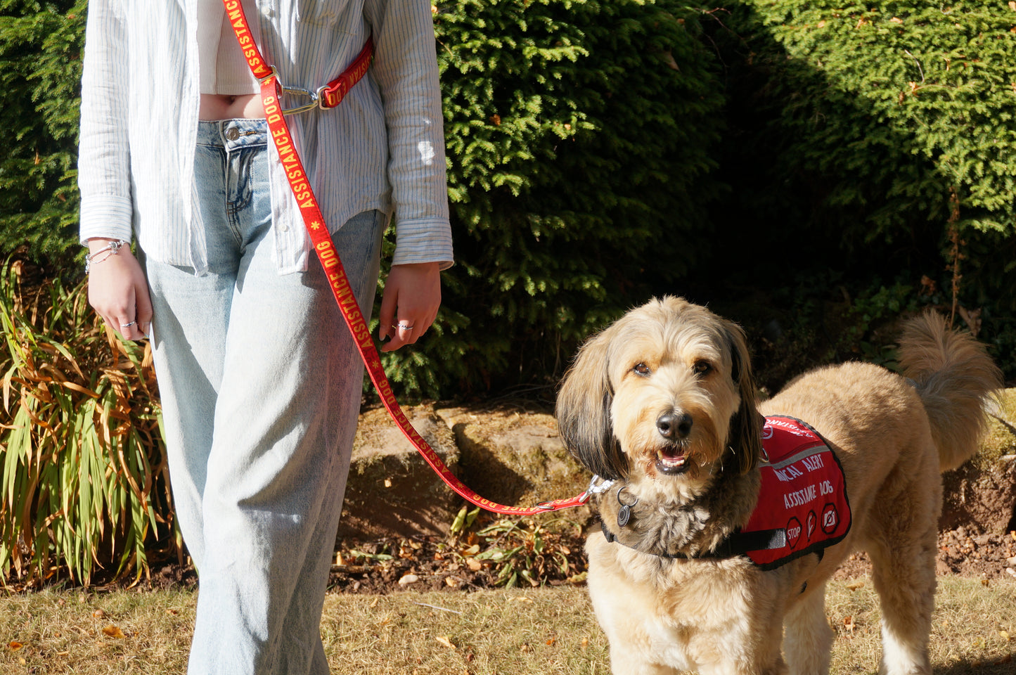 Awareness Multiway Lead | Twiggy Tags