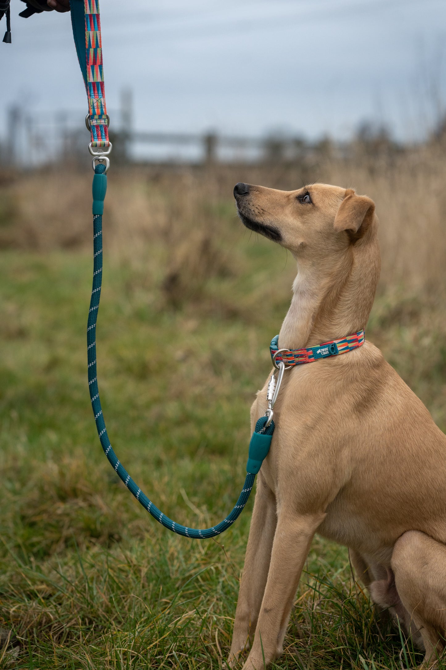 Rope Lead | Twiggy Tags