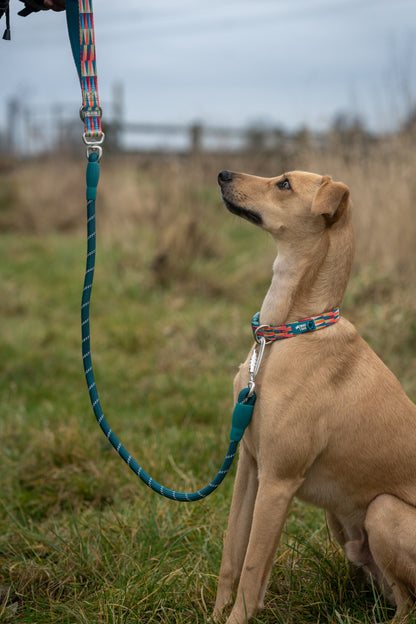 Rope Lead | Twiggy Tags