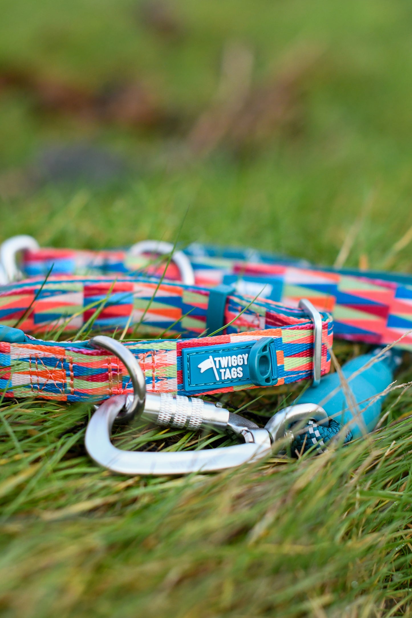 Rope Lead | Twiggy Tags