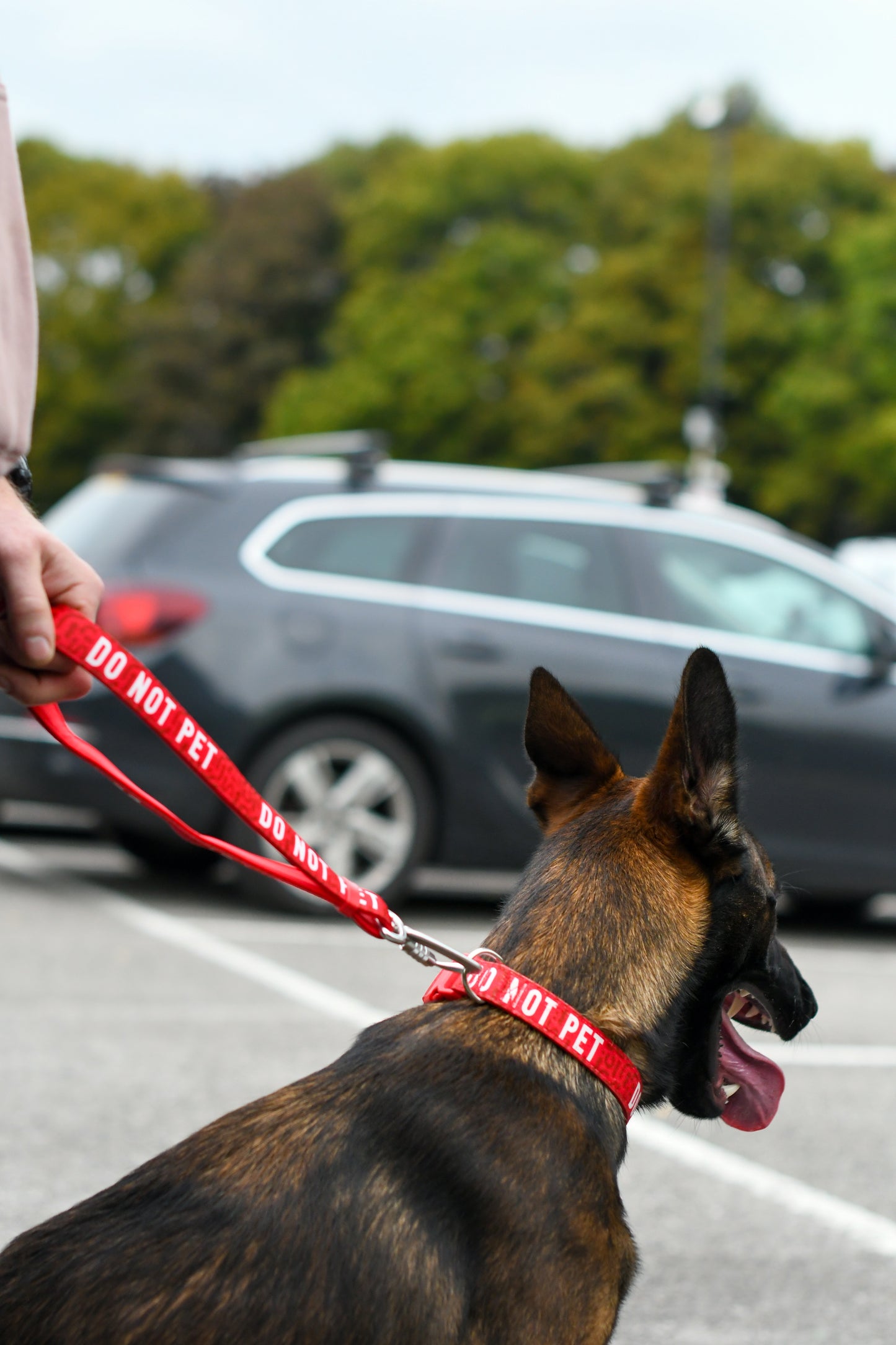 Awareness Multiway Lead | Twiggy Tags