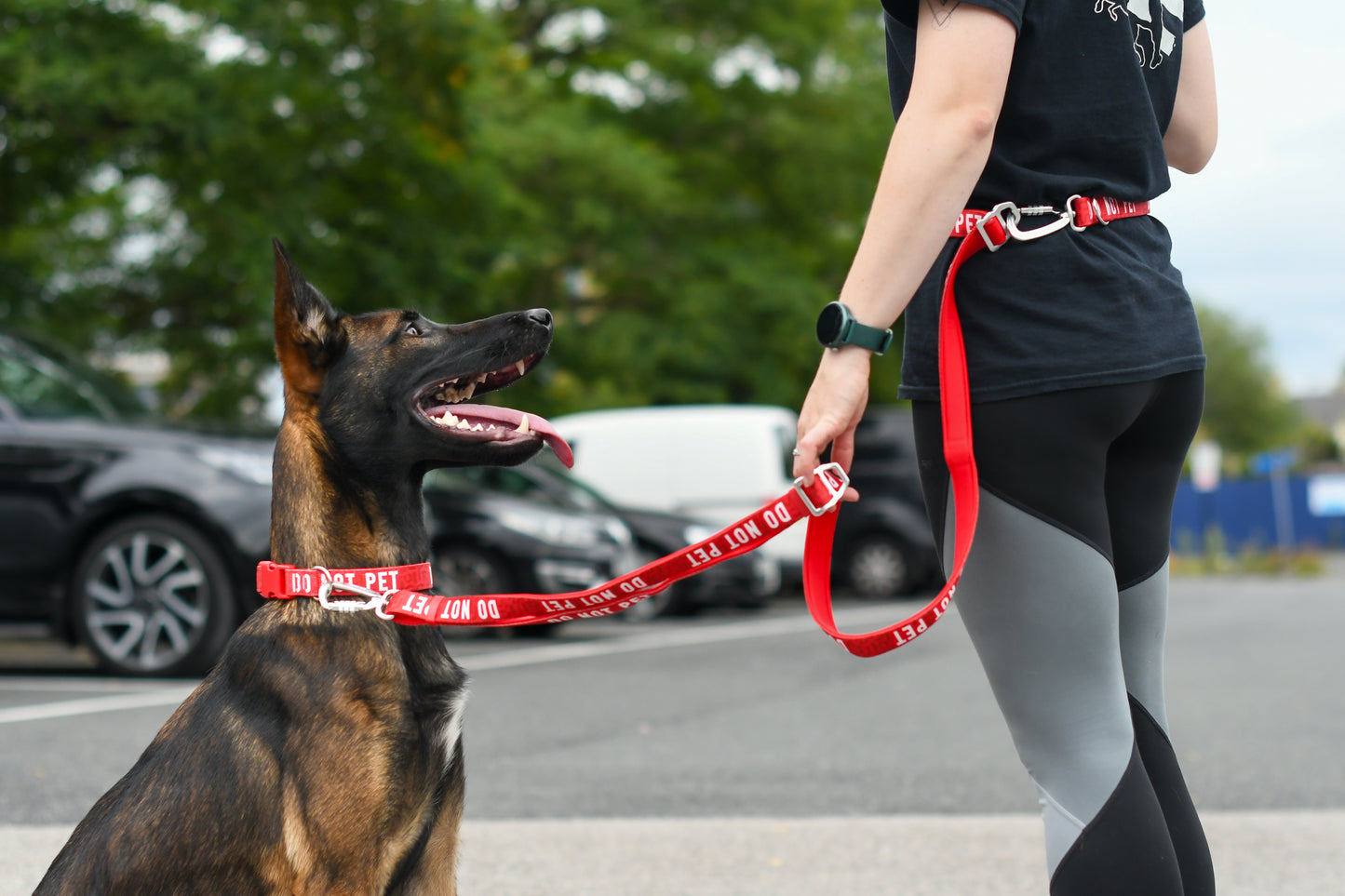 Awareness Collar | Twiggy Tags