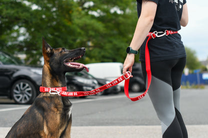 Awareness Collar | Twiggy Tags