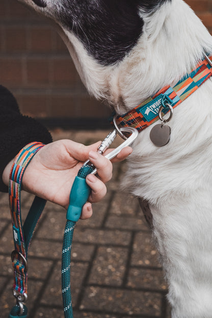 Rope Lead | Twiggy Tags