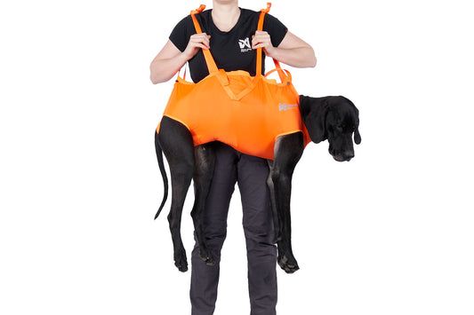 Dog Rescue Sling | Non-stop Dogwear