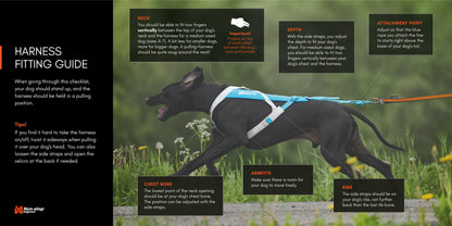 Non-stop Dogwear Freemotion harness 5.0