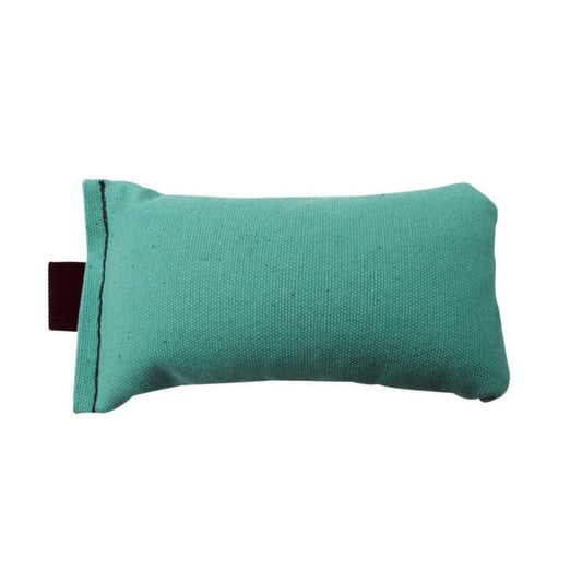 Sporting Saint | Canvas Puppy Dummy