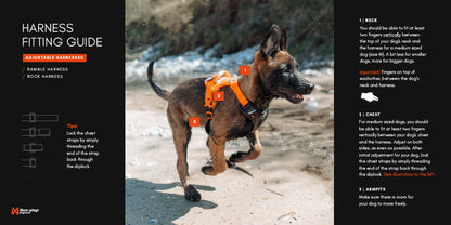 Ramble Harness