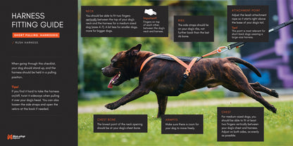 Non-stop Dogwear Rush Harness