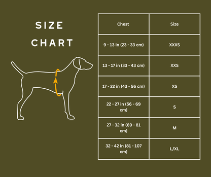 Ruffwear Hi and Light Dog Harness