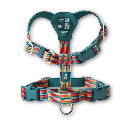 Horizon Harness | Twiggy Tags